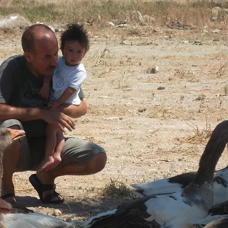 Aparthotel Godik Çeşme