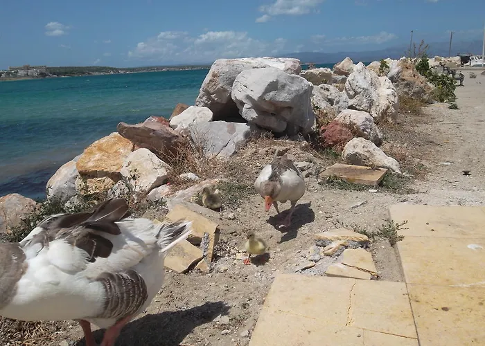 Апарт-отель Godik *