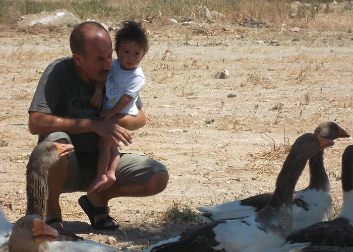 Апарт-отель Godik Кешме