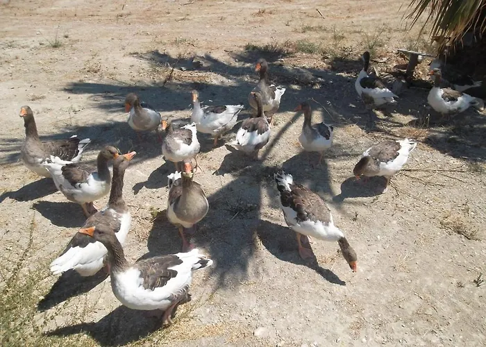 Апарт-отель Godik