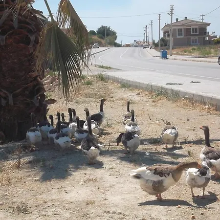 Hotel apartamentowy Godik