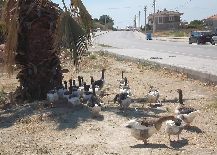 Lejlighedshotel Godik